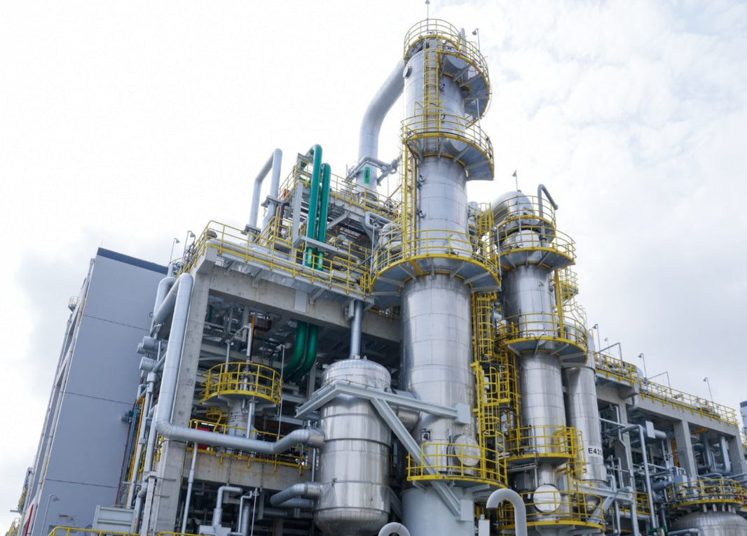 BASF's three world-class production plants were officially put into operation