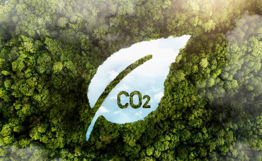BASF and Avery Dennison Launch Renewable Electricity-Based Acrylates, Accelerating Decarbonization of the Adhesives Value Chain